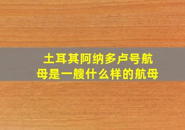 土耳其阿纳多卢号航母是一艘什么样的航母