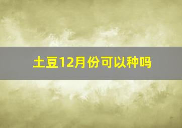 土豆12月份可以种吗