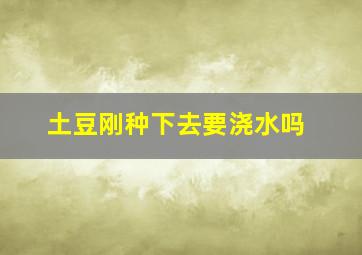 土豆刚种下去要浇水吗