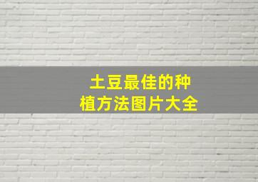 土豆最佳的种植方法图片大全