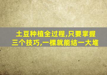 土豆种植全过程,只要掌握三个技巧,一棵就能结一大堆