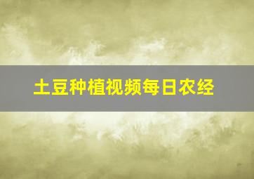 土豆种植视频每日农经