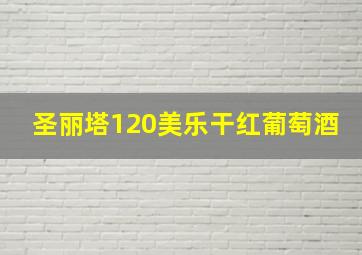 圣丽塔120美乐干红葡萄酒