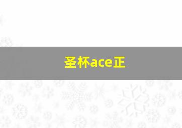 圣杯ace正