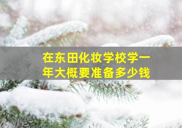 在东田化妆学校学一年大概要准备多少钱