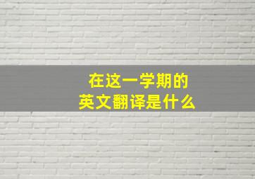 在这一学期的英文翻译是什么