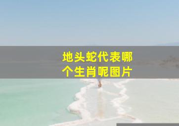 地头蛇代表哪个生肖呢图片