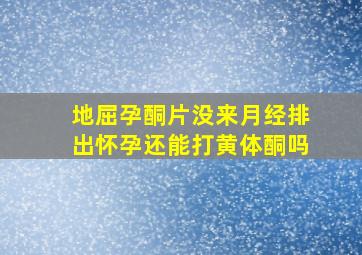 地屈孕酮片没来月经排出怀孕还能打黄体酮吗