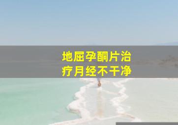 地屈孕酮片治疗月经不干净