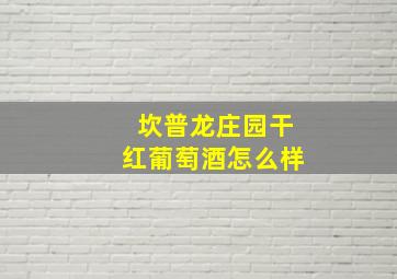 坎普龙庄园干红葡萄酒怎么样