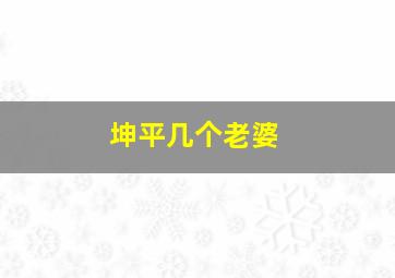 坤平几个老婆