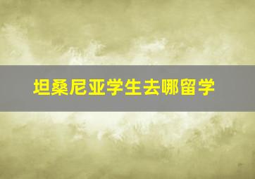 坦桑尼亚学生去哪留学