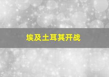 埃及土耳其开战