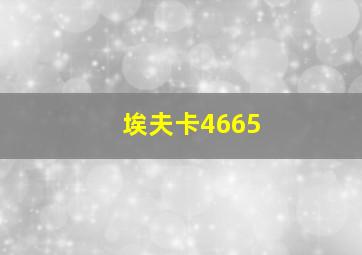 埃夫卡4665