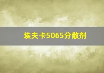 埃夫卡5065分散剂