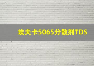 埃夫卡5065分散剂TDS