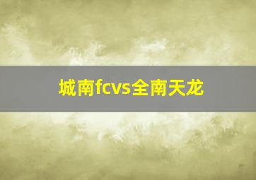 城南fcvs全南天龙