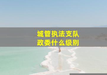 城管执法支队政委什么级别