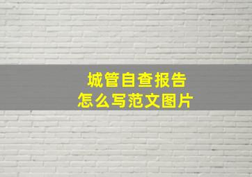 城管自查报告怎么写范文图片