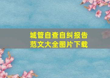 城管自查自纠报告范文大全图片下载