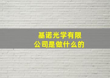 基诺光学有限公司是做什么的