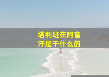 塔利班在阿富汗是干什么的