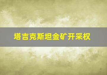 塔吉克斯坦金矿开采权