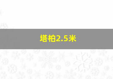 塔柏2.5米