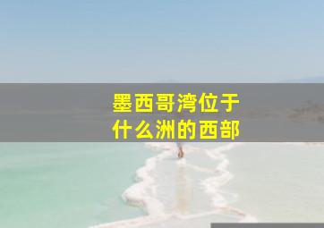 墨西哥湾位于什么洲的西部