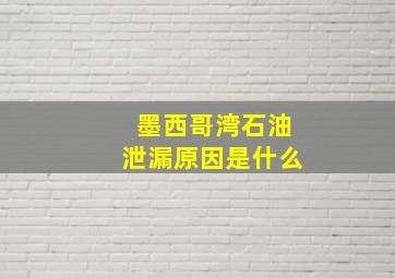 墨西哥湾石油泄漏原因是什么