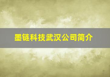 墨链科技武汉公司简介