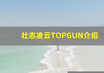 壮志凌云TOPGUN介绍