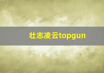 壮志凌云topgun