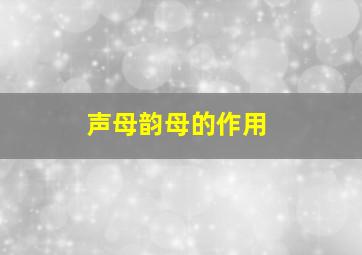 声母韵母的作用