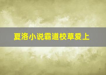 夏洛小说霸道校草爱上