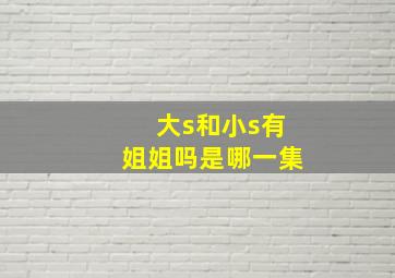 大s和小s有姐姐吗是哪一集