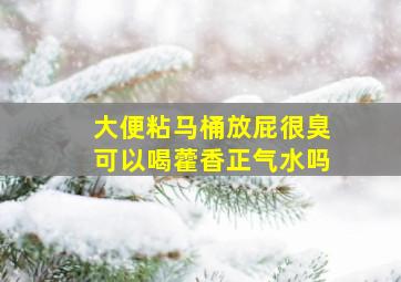 大便粘马桶放屁很臭可以喝藿香正气水吗