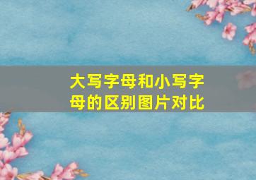 大写字母和小写字母的区别图片对比