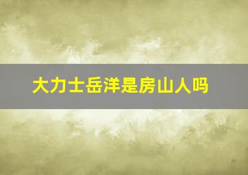 大力士岳洋是房山人吗