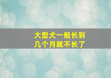 大型犬一般长到几个月就不长了