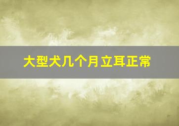 大型犬几个月立耳正常