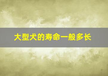 大型犬的寿命一般多长