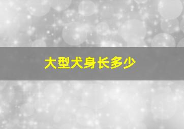 大型犬身长多少