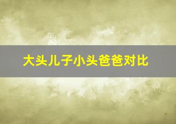 大头儿子小头爸爸对比