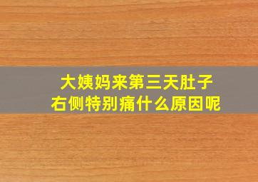 大姨妈来第三天肚子右侧特别痛什么原因呢