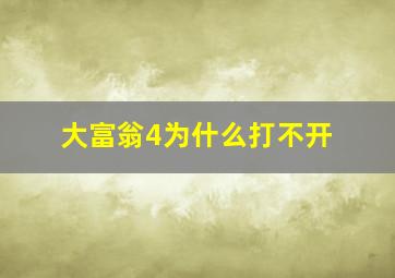 大富翁4为什么打不开