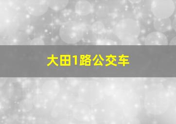 大田1路公交车