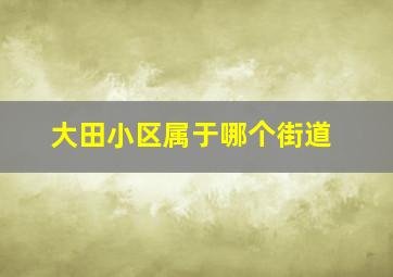 大田小区属于哪个街道