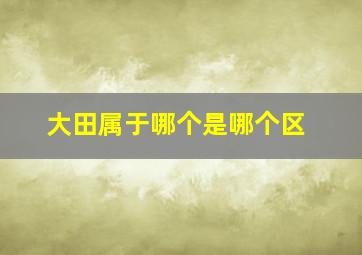 大田属于哪个是哪个区