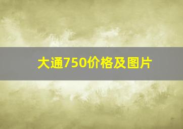 大通750价格及图片